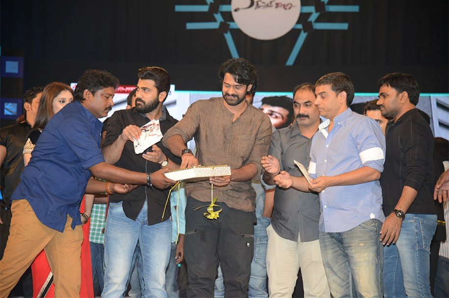 Express-Raja-Audio-Launch